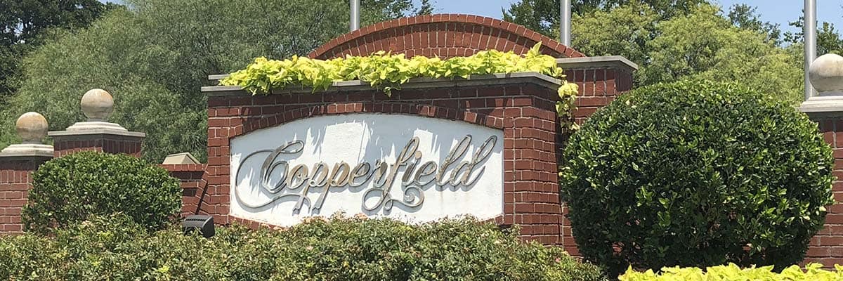 copperfield-banner-image copperfield-banner-image
